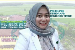 dr. Febi Stevi Aryani, Sp.OG