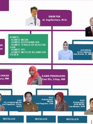 BAGAN STRUKTUR ORGANISASI RSUD OKU TIMUR