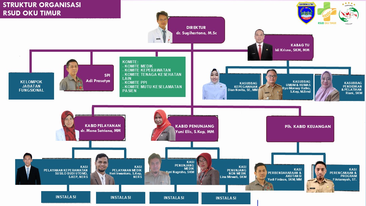 BAGAN STRUKTUR ORGANISASI RSUD OKU TIMUR