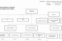 BAGAN STRUKTUR ORGANISASI RSUD OKU TIMUR