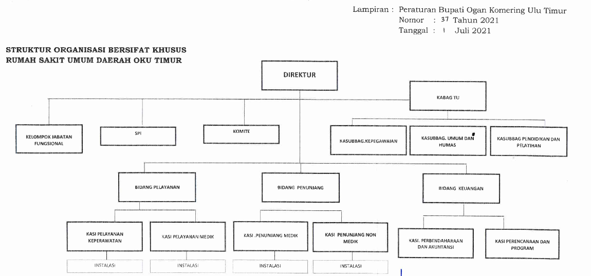 BAGAN STRUKTUR ORGANISASI RSUD OKU TIMUR