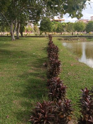 RUANG TERBUKA HIJAU RSUD OKU TIMUR