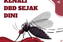 KENALI DEMAM BERDARAH SEJAK DINI