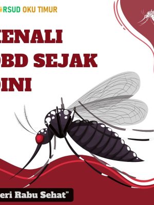 KENALI DEMAM BERDARAH SEJAK DINI
