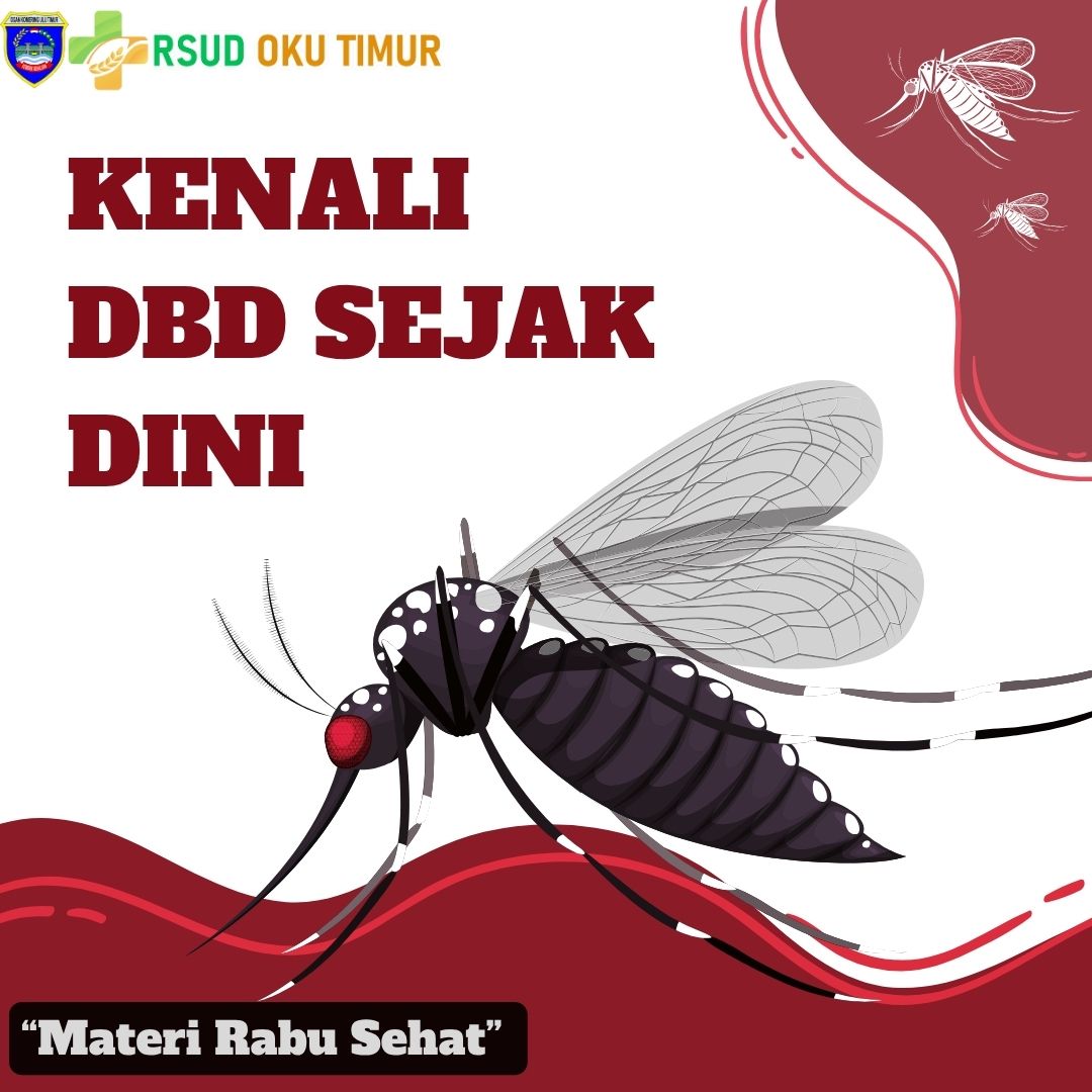 KENALI DEMAM BERDARAH SEJAK DINI