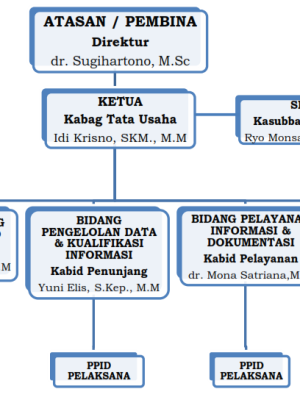STRUKTUR ORGANISASI PPID RSUD OKU TIMUR